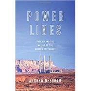 Power Lines by Needham, Andrew, 9780691173542