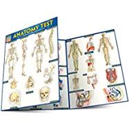 Anatomy Test by Barcharts, Inc., 9781423223542