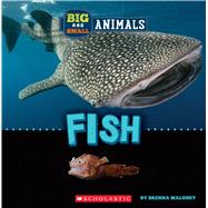 Fish (Wild World: Big and Small Animals) by Maloney, Brenna, 9781338853544