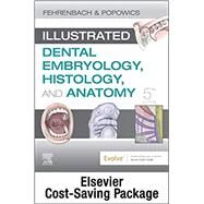 Illustrated Dental Embryology, Histology, and Anatomy by Fehrenbach, Margaret J.; Popowics, Tracy, Ph.D., 9780323733564