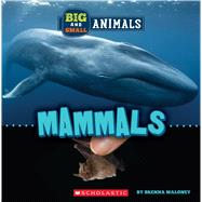Mammals (Wild World: Big and Small Animals) by Maloney, Brenna, 9781338853568