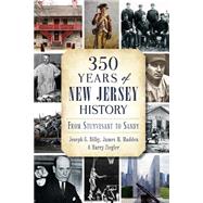 350 Years of New Jersey History by Bilby, Joseph G.; Madden, James M.; Ziegler, Harry, 9781626193574