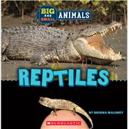 Reptiles (Wild World: Big and Small Animals) by Maloney, Brenna, 9781338853599