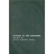 Tourism in the Caribbean: Trends, Development, Prospects by Duval,David Timothy, 9780415303613