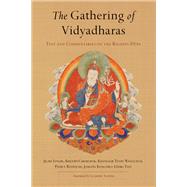 The Gathering of Vidyadharas Text and Commentaries on the Rigdzin Dpa by Lingpa, Jigme; Rinpoche, Patrul; Chemchok, Khenpo; Avertin, Gyurme; Kongtrul Lodro Taye, Jamgon, 9781611803617