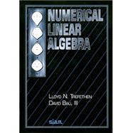 Numerical Linear Algebra by Trefethen, Lloyd N.; Bau, David, 9780898713619