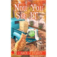 Now You See It by Perry, Carol J., 9781496743640