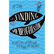 Finding Mr. Brightside by Clark, Jay, 9781250073655