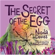 The Secret of the Egg by Davies, Nicola; Cameron, Abbie, 9781912213672