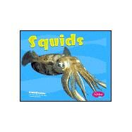 Squids by Rake, Jody Sullivan, 9780736863674