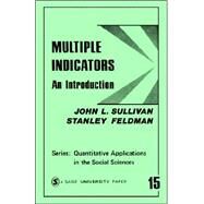 Multiple Indicators : An Introduction by John L. Sullivan, 9780803913691