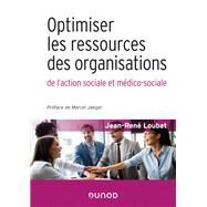 Optimiser les ressources des organisations de l'action sociale et mdico-sociale by Jean-Ren Loubat, 9782100813698