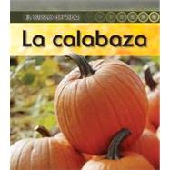 La calabaza / Pumpkin by Walsh, Patricia, 9781432943707