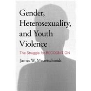 Gender, Heterosexuality, and Youth Violence The Struggle for Recognition by Messerschmidt, James W., 9781442213708