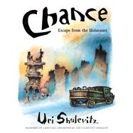 Chance by Shulevitz, Uri, 9780374313715