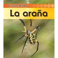 La arana / Spider by Walsh, Patricia, 9781432943721