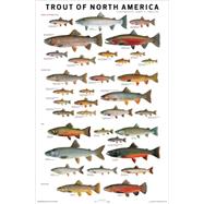 Trout of North America Poster by Tomelleri, Joseph R., 9780979903724