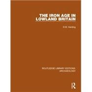 The Iron Age in Lowland Britain by Harding,D.W., 9781138813724
