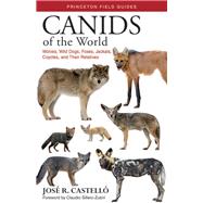 Canids of the World by Castell, Jos R.; Sillero-Zubiri, Claudio, 9780691183725