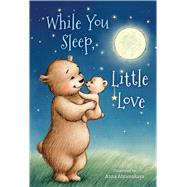 While You Sleep, Little Love (padded) by Burke, Michelle Prater; Abramskaya, Anna, 9781535923750