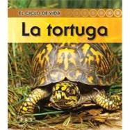La tortuga / Turtle by Walsh, Patricia, 9781432943752