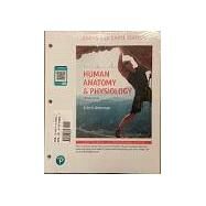 Human Anatomy & Physiology, Books a la Carte Edition with Modified Mastering A&P w/ Pearson eText for Human A&P, 2/e by Amerman, Erin C., 9780135193761