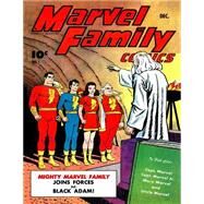 The Marvel Family by Costanza, Pete; Escamilla, Israel; Beck, C. C., 9781523383764