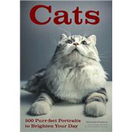 Cats by Perkins, Michelle, 9781682033784