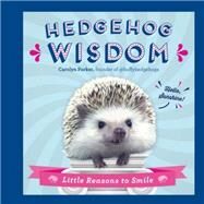 Hedgehog Wisdom Little Reasons to Smile by Parker, Carolyn, 9781631063800