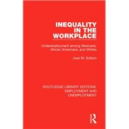 Inequality in the Workplace: Underemployment among Mexicans, African Americans, and Whites by Soltero; Jose, 9780367023812