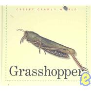 Grasshopper by Morris, Ting; Sanzi, Desiderio; Miner, Deb, 9781583403815