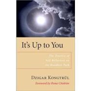 It's Up to You The Practice of Self-Reflection on the Buddhist Path by Kongtrul, Dzigar; Berliner, Helen, 9781590303818