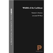 Wildlife of the Caribbean by Raffaele, Herbert A.; Wiley, James W., 9780691153827
