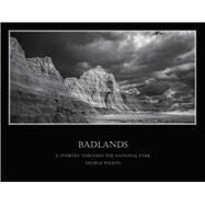 Badlands - A Journey Through the National Park by Wilson, George, 9781543903829