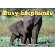 Busy Elephants by Schindel, John; Harvey, Martin, 9781582463834