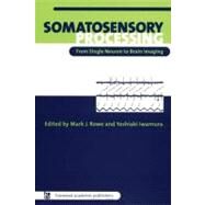 Somatosensory Processing: From Single Neuron to Brain Imaging by Iwamura; Yoshiaki, 9789057023842