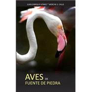 Aves de fuente de piedra / Birds stone fountain by Gomez, Juan Enrique; Calle, Merche S., 9781511453844