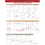 Travell, Simons & Simons Trigger Point Pain Patterns Wall Chart Trunk, Pelvis, and Lower Limb by Unknown, 9781975183851