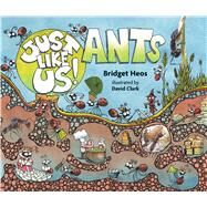 Just Like Us! Ants by Heos, Bridget; Clark, David, 9780358003854