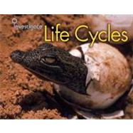 Life Cycles by Guillain, Charlotte, 9781432913854