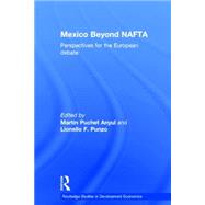 Mexico Beyond NAFTA by Puchet Anyul; Martin, 9780415243865