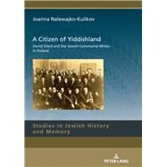 A Citizen of Yiddishland by Turner, Ri J.; Glasser, Paul; Nalewajko-kulikov, Joanna, 9783631803875