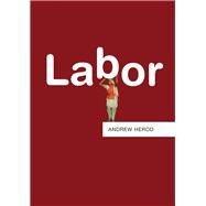 Labor by Herod, Andrew, 9780745663876