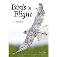 Birds in Flight by Palmer, Rob, 9781682033883