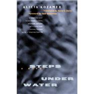 Steps Under Water by Kozameh, Alicia; Davis, David E.; Sosnowski, Sal, 9780520203884