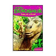 Dinosaur Two of a Kind 1st Reader by Mary Hogan, 9780786843886