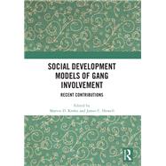 Social Development Models of Gang Involvement: Recent Contributions by Krohn; Marvin D., 9781138493889