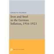 Iron and Steel in the German Inflation 1916-1923 by Feldman, Gerald D., 9780691603940