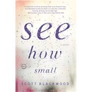 See How Small A Novel by Blackwood, Scott, 9780316373944