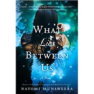 What Lies Between Us A Novel by Munaweera, Nayomi, 9781250043948